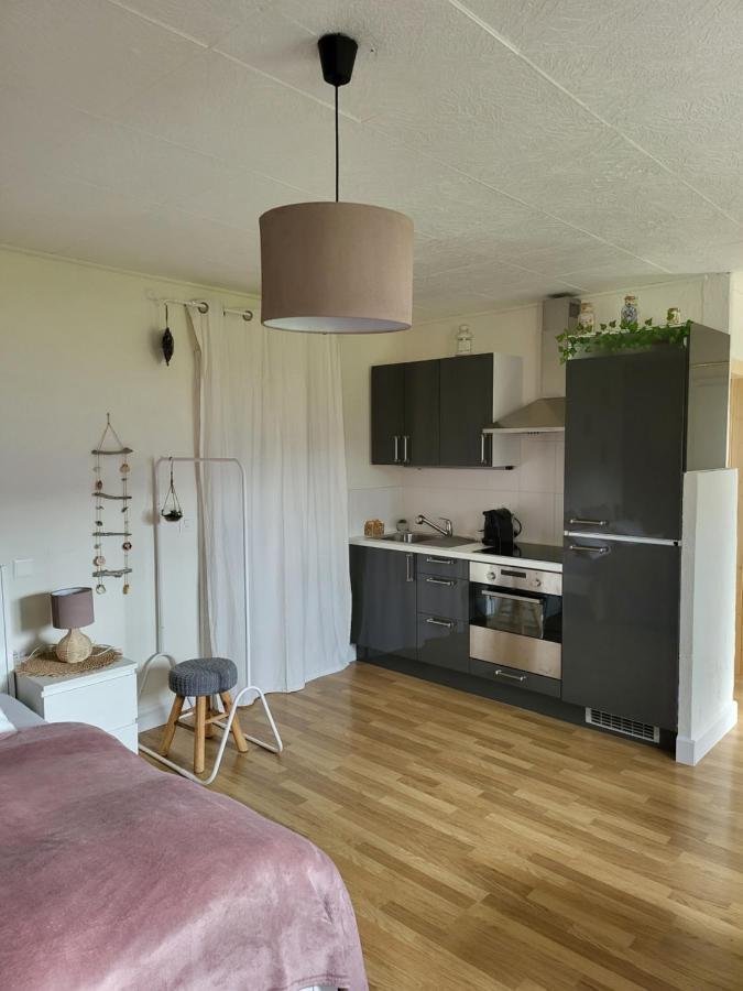 Studio Des Fontanettes Miège Esterno foto